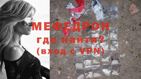 шишки Няндома