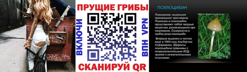 Псилоцибиновые грибы Psilocybine cubensis  Тюкалинск 